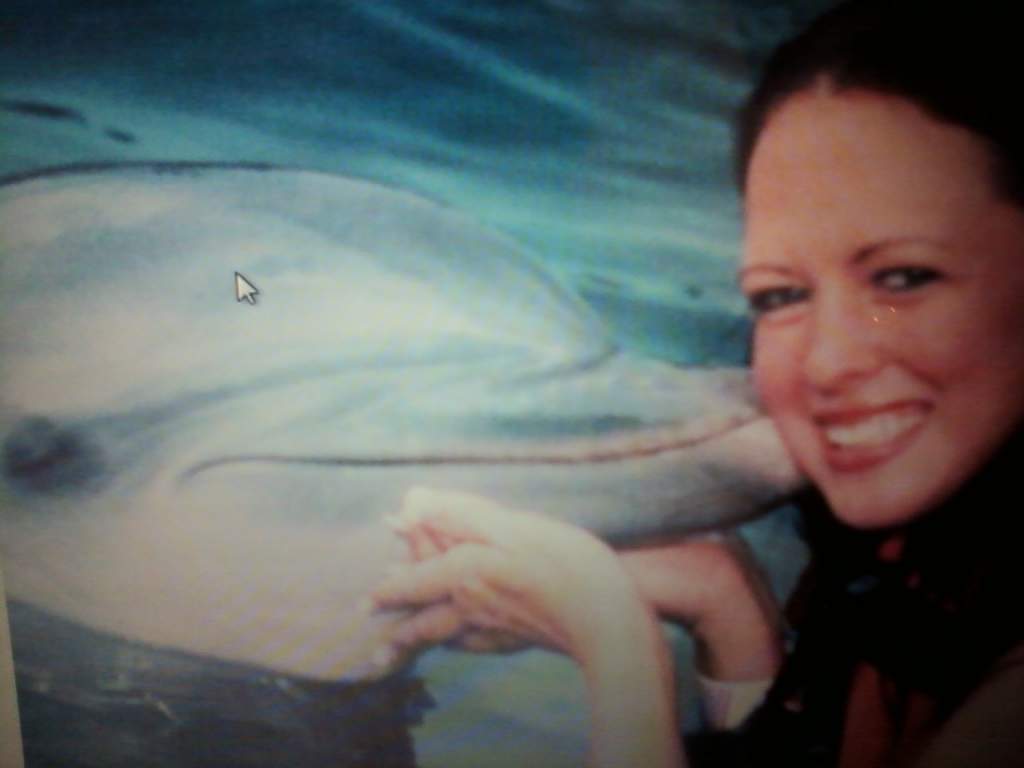 dolphin