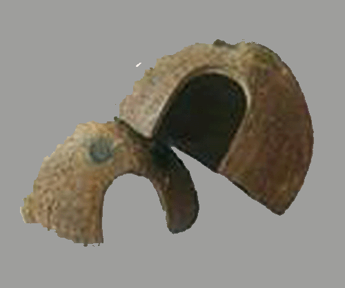 domes copy