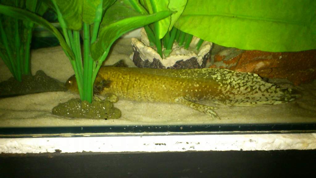 DSC 0005