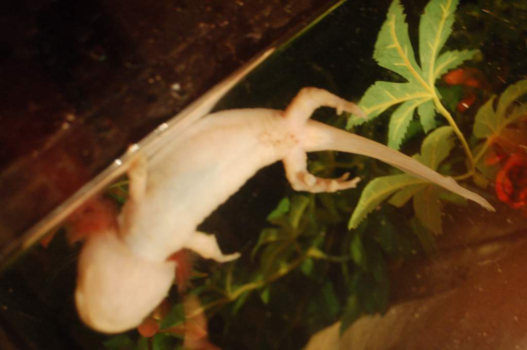 DSC 0012