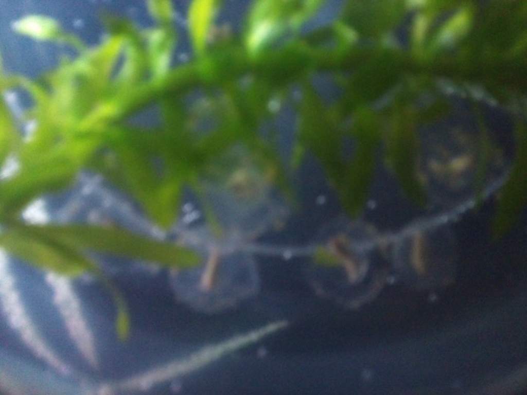 DSC 0542