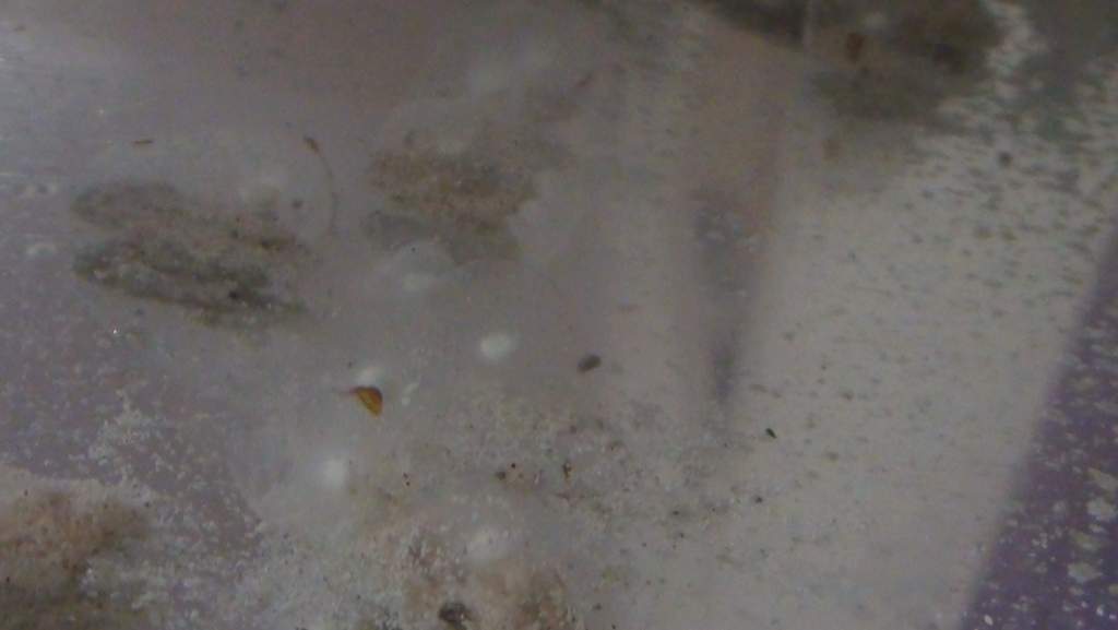 DSC00030