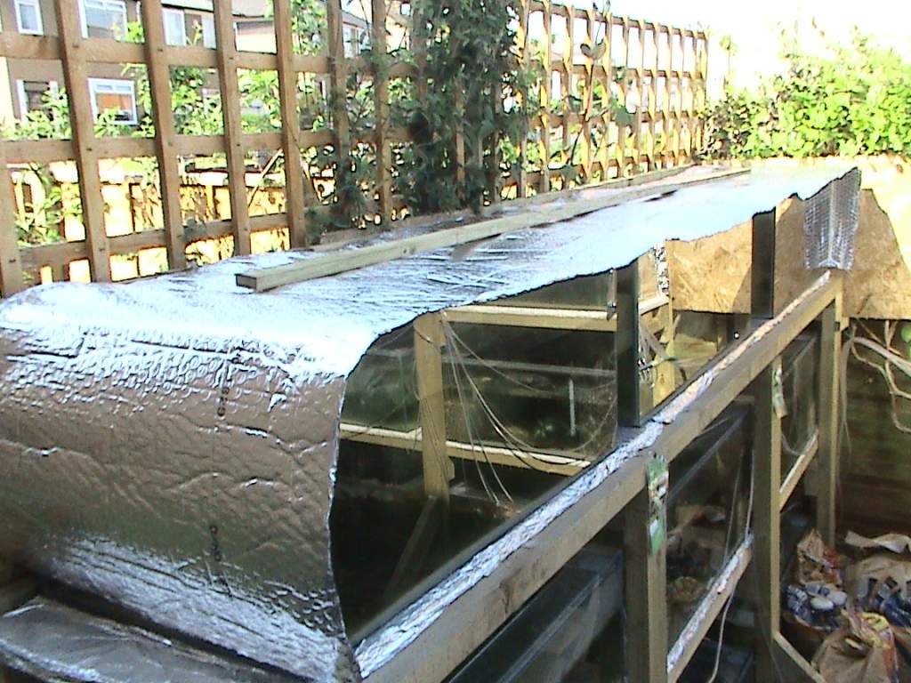DSC00067
