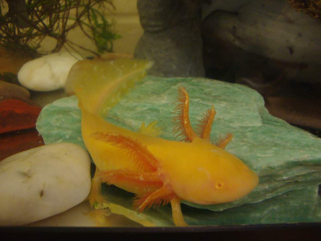 DSC00864