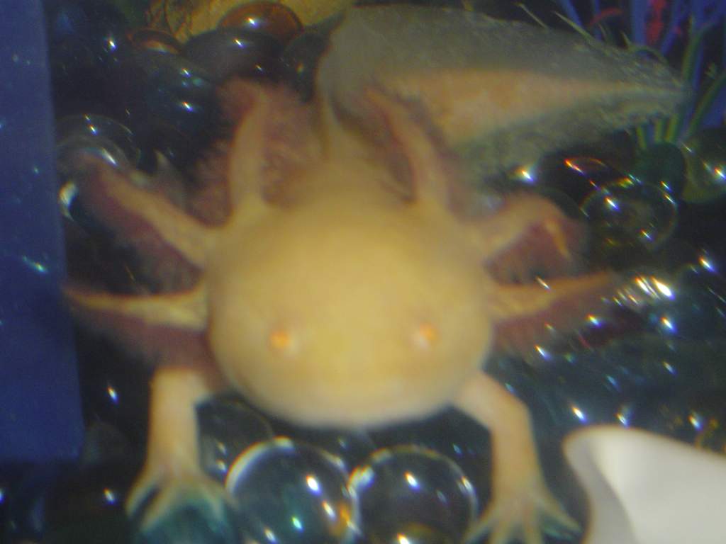 DSC01778