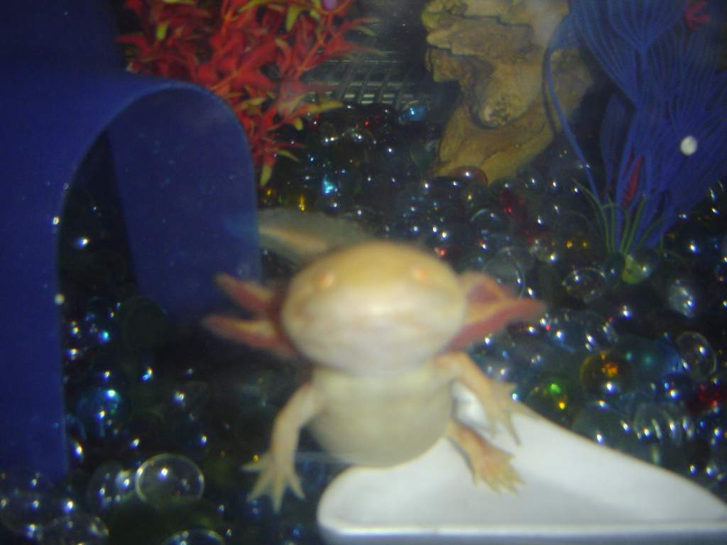 DSC01781