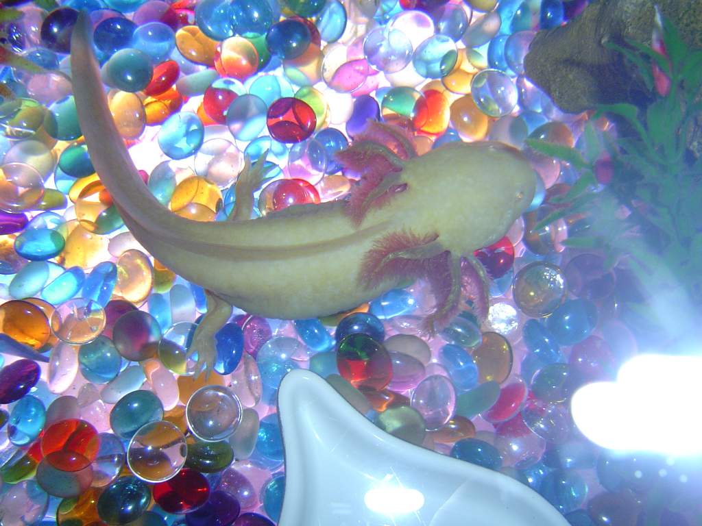 DSC01794