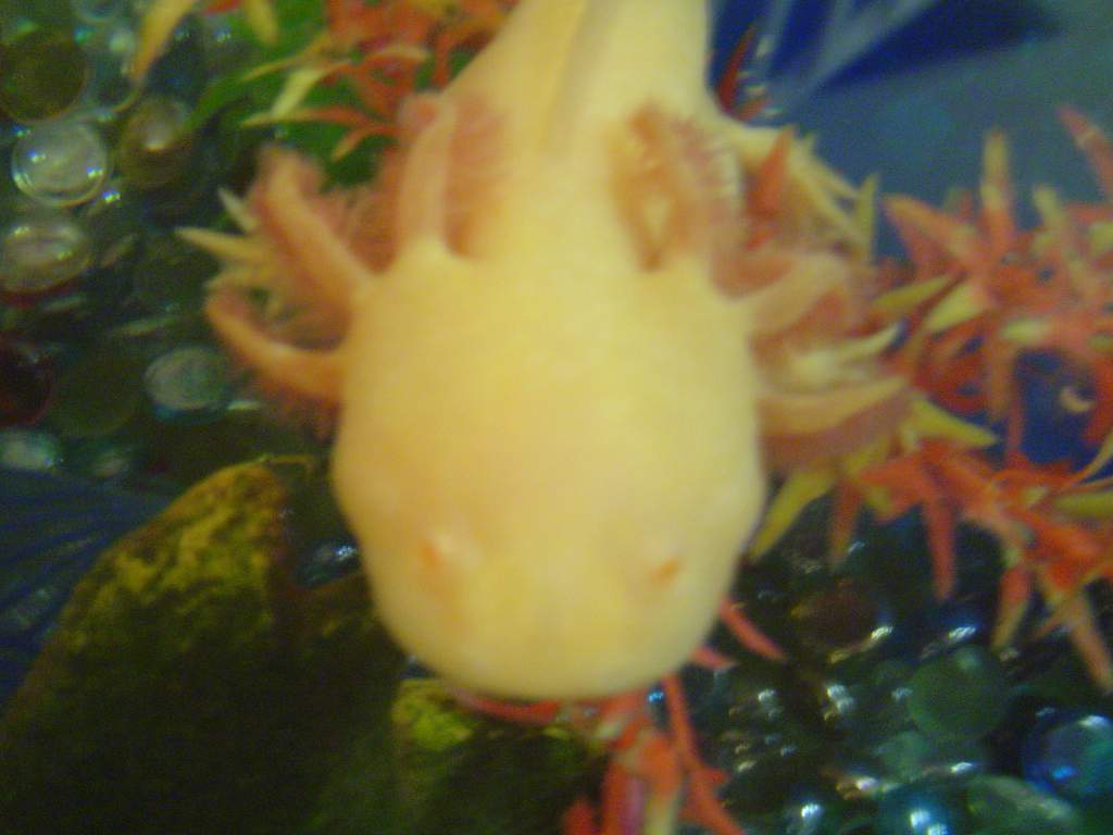 DSC01828
