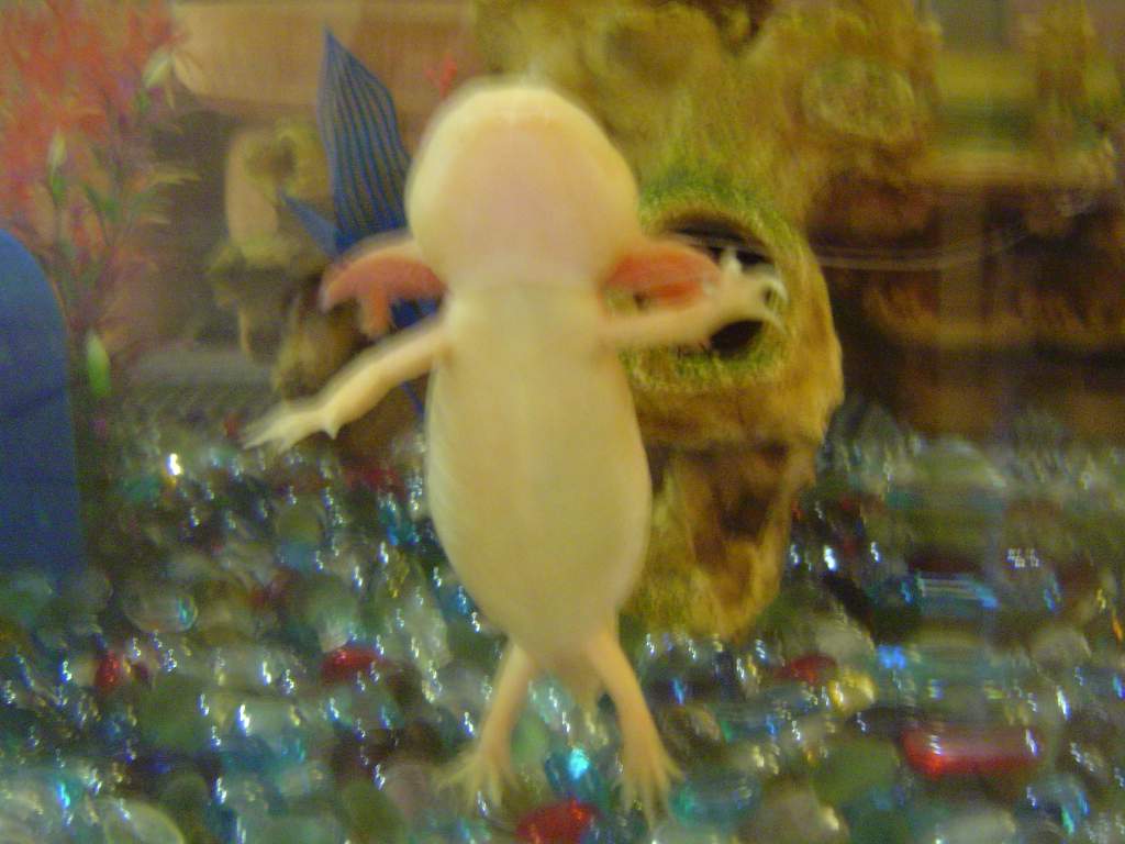 DSC01853