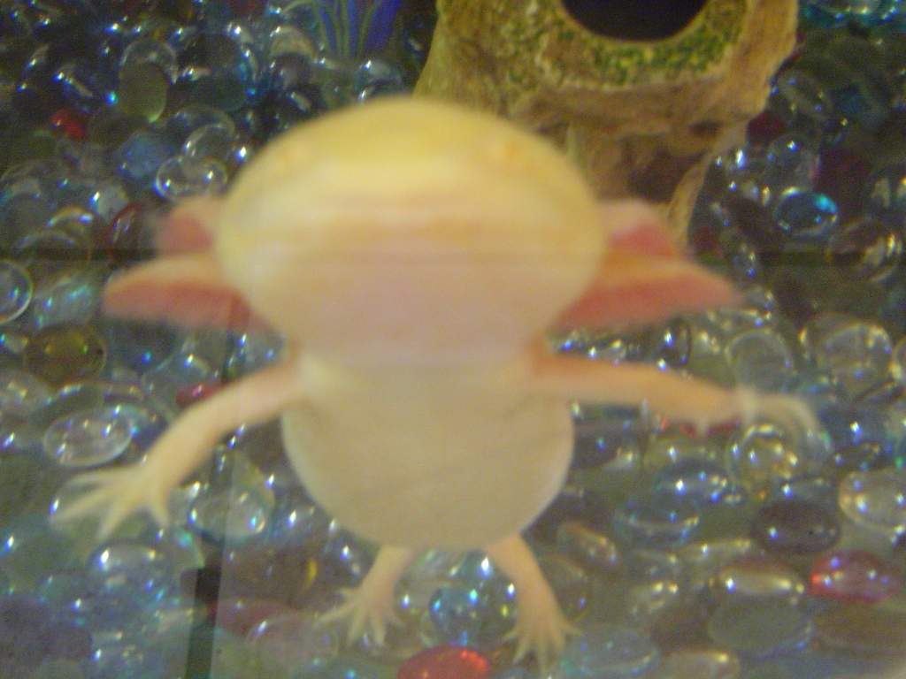 DSC01854