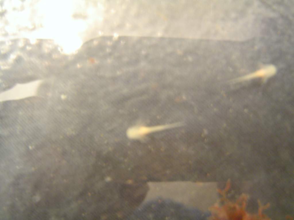 DSC01855