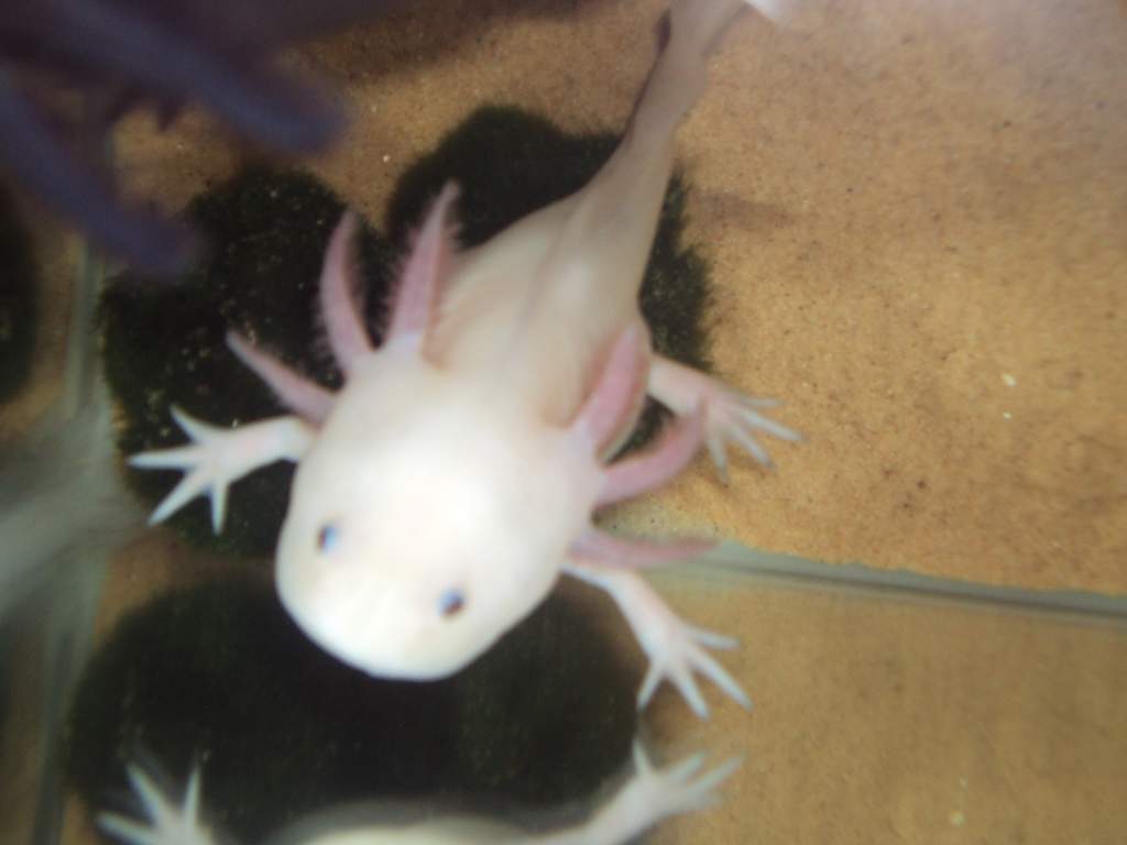 DSC04095