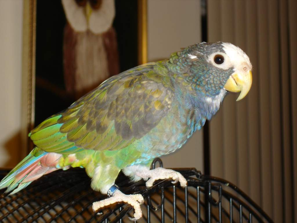 DSC04386