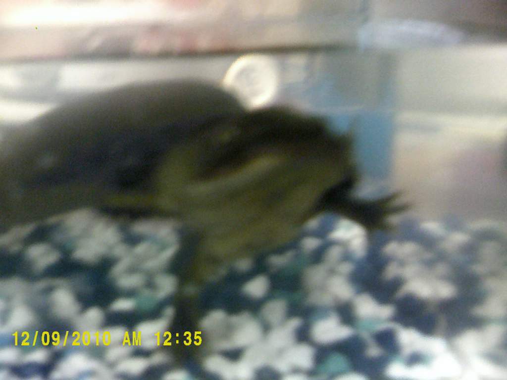 DSCF0017