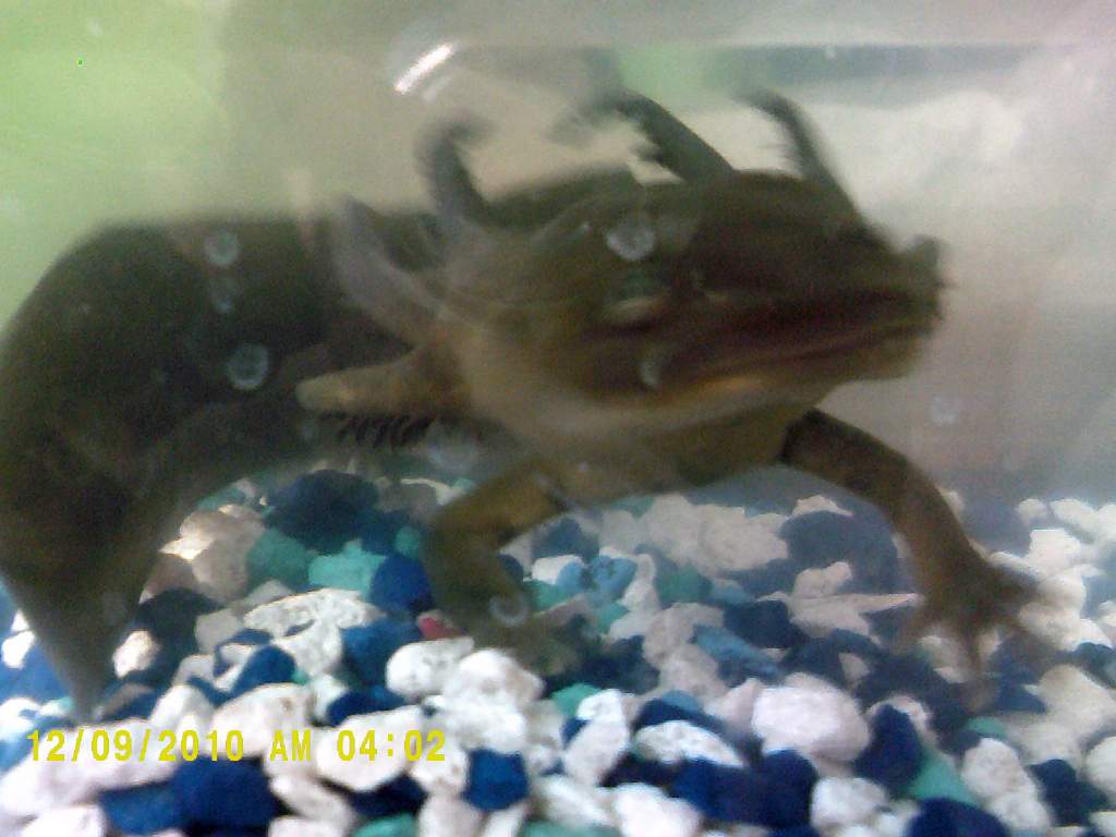 DSCF0026