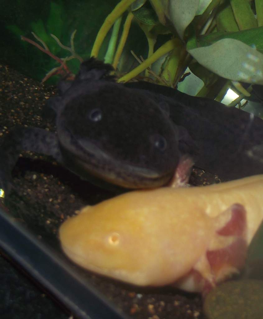 DSCF0067