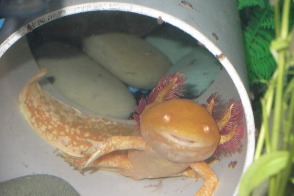 DSCF0136