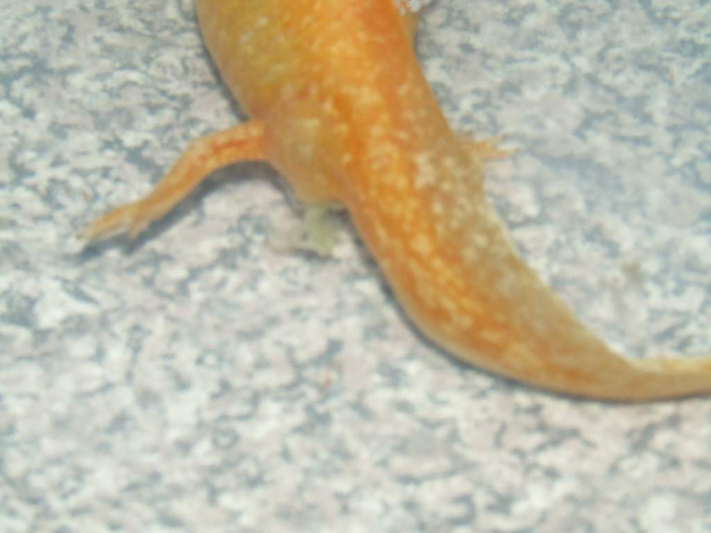 DSCF0833