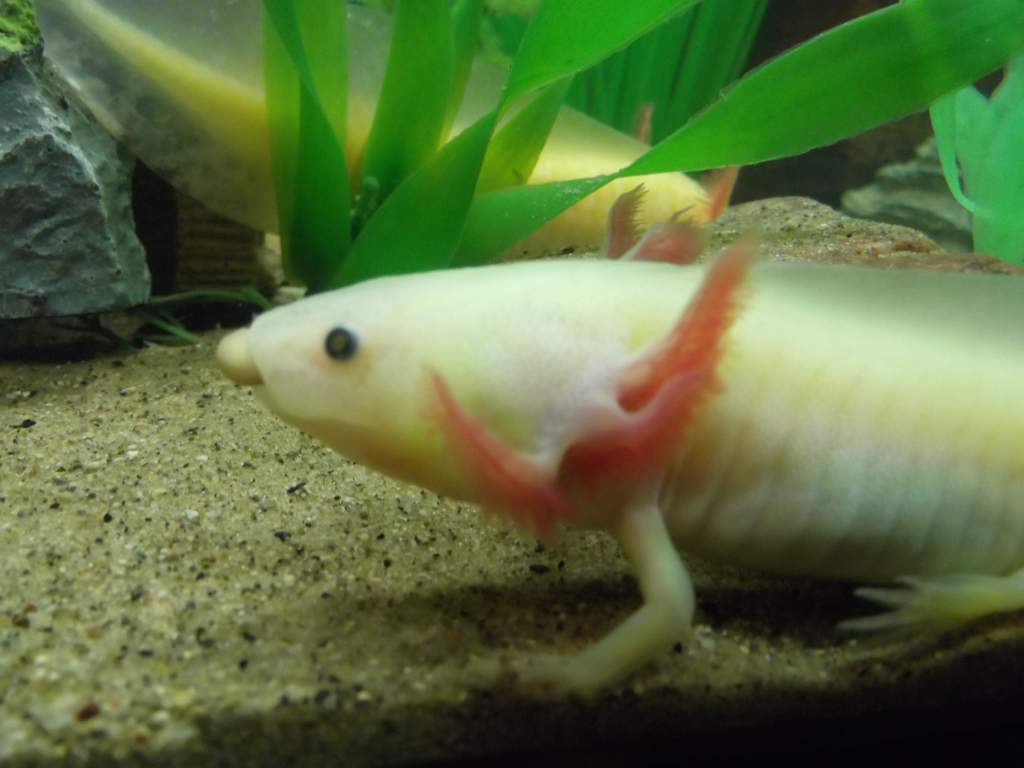DSCF2392