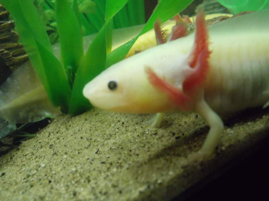DSCF2404