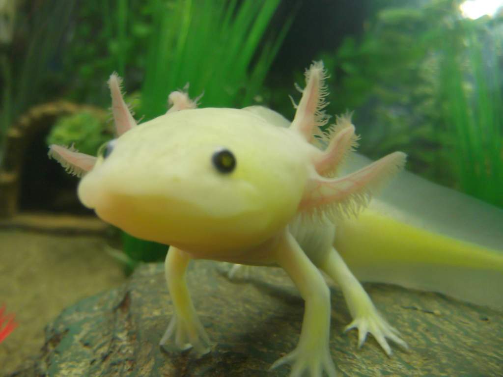 DSCF2414