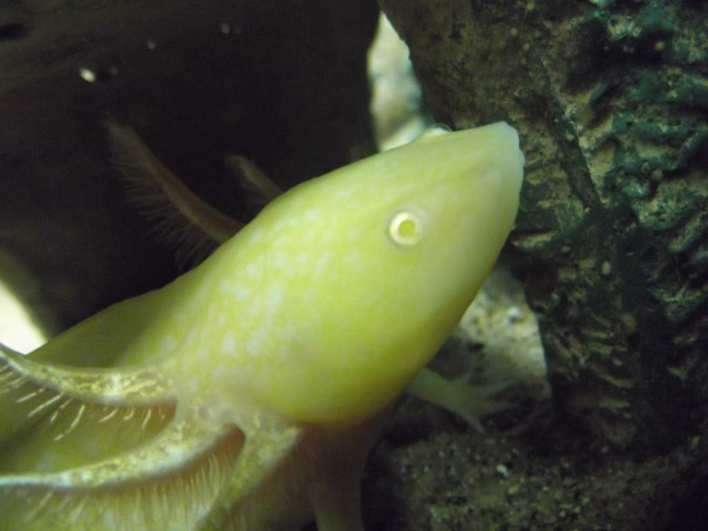 DSCF2421