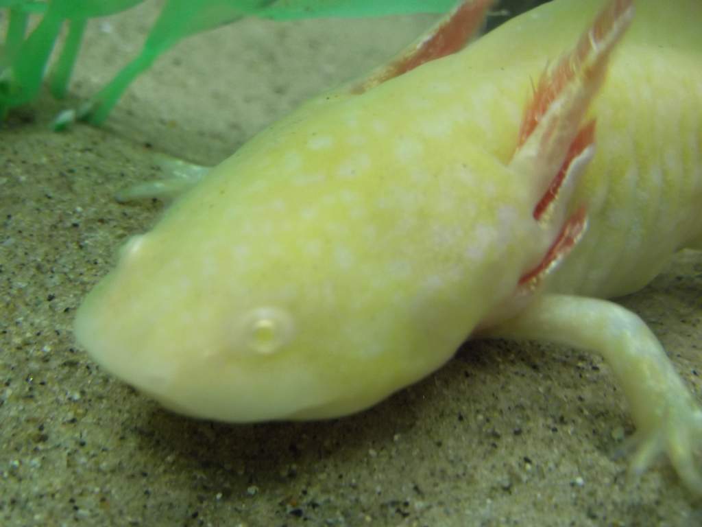 DSCF2438