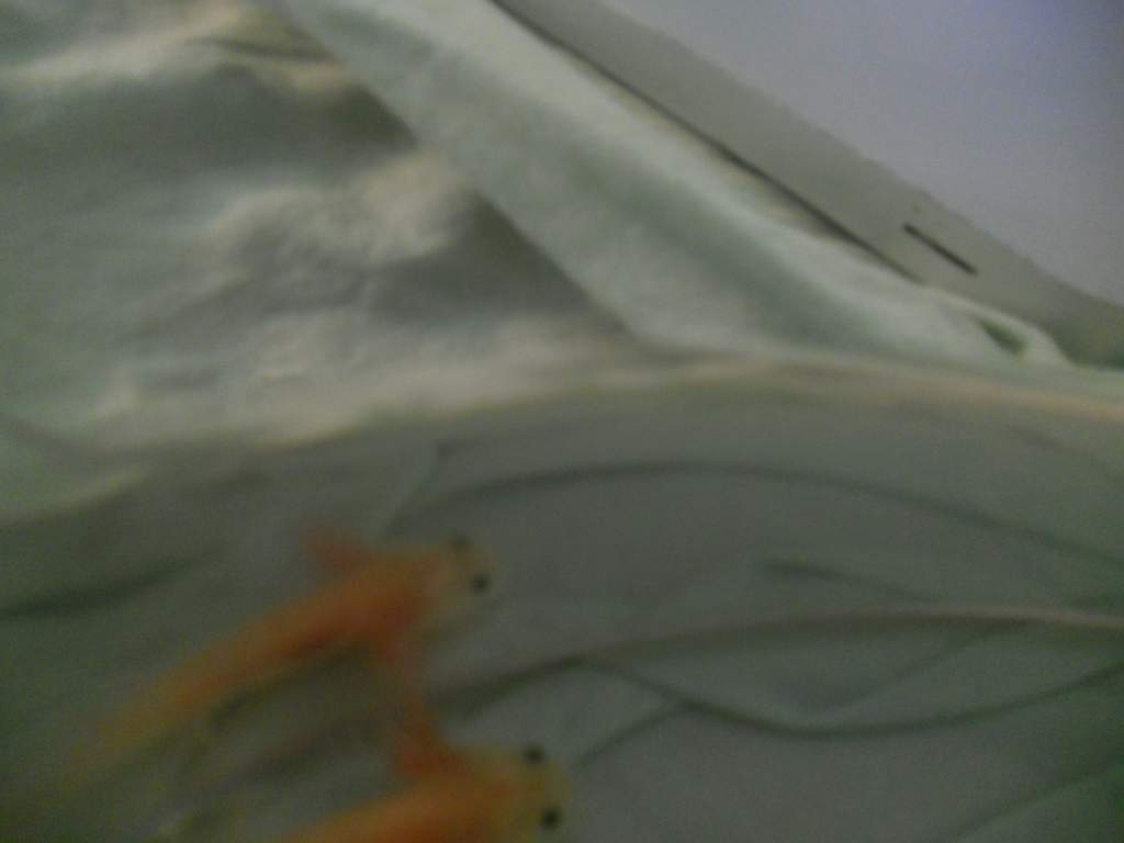 DSCN0900
