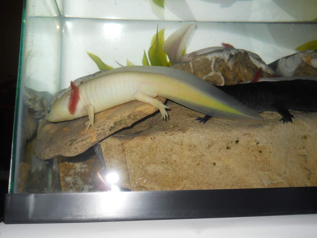 DSCN2368