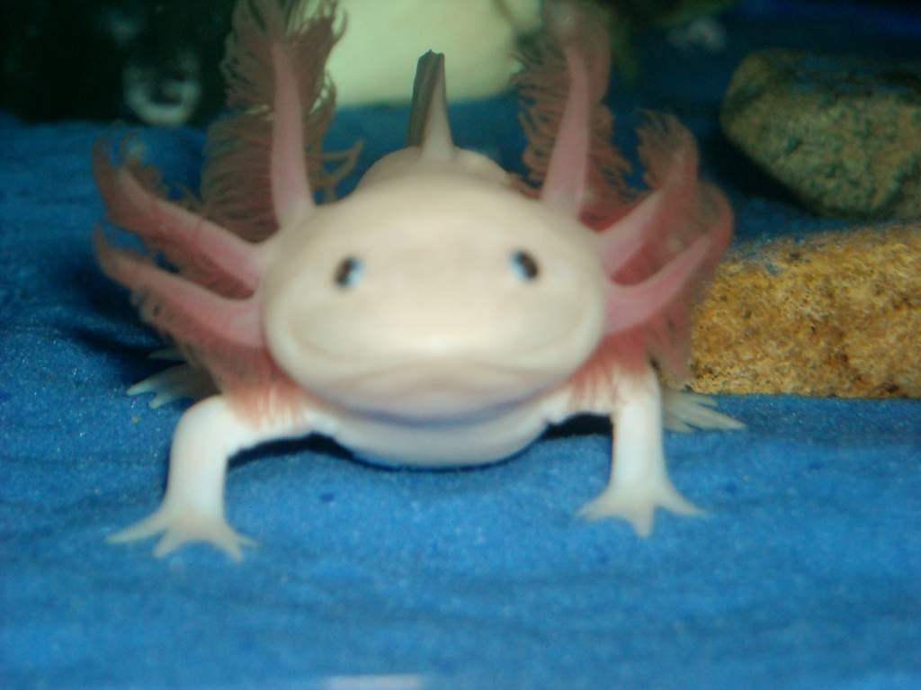 DSCN3223