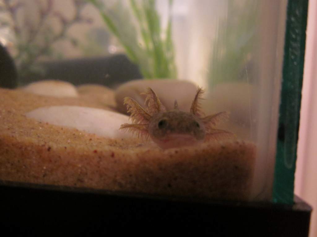 Duncan being sneaky
