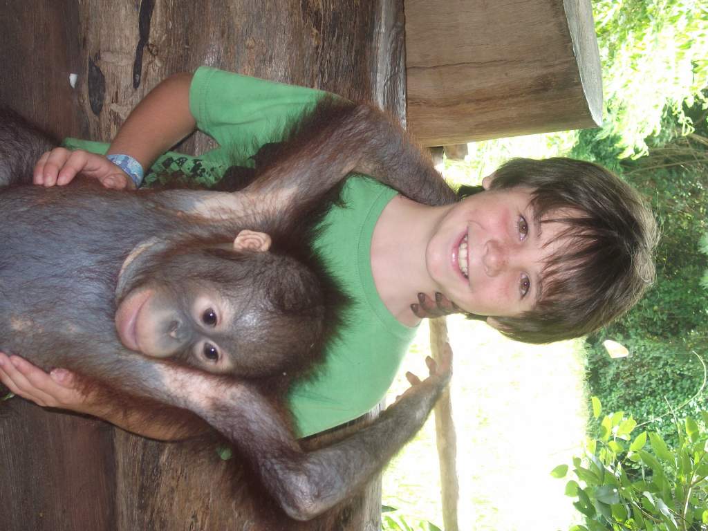 dyaln holding the same orangutan