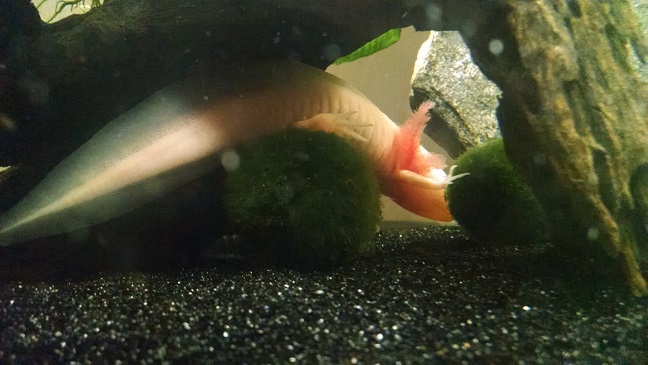 Eos just hanging out