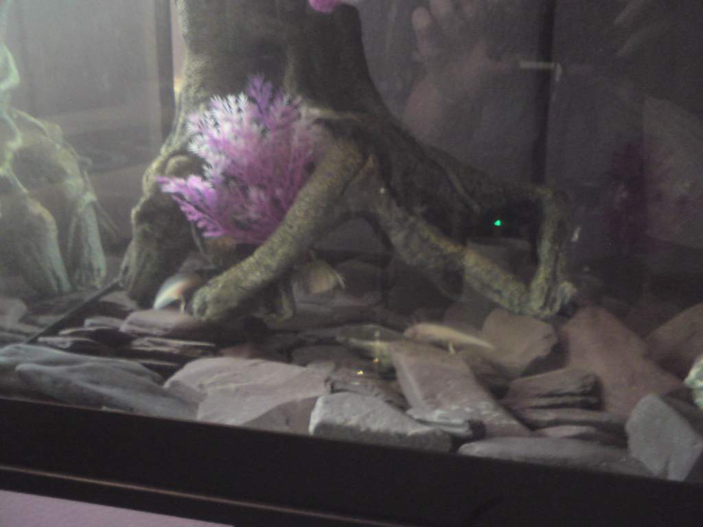 ethel and the other 1