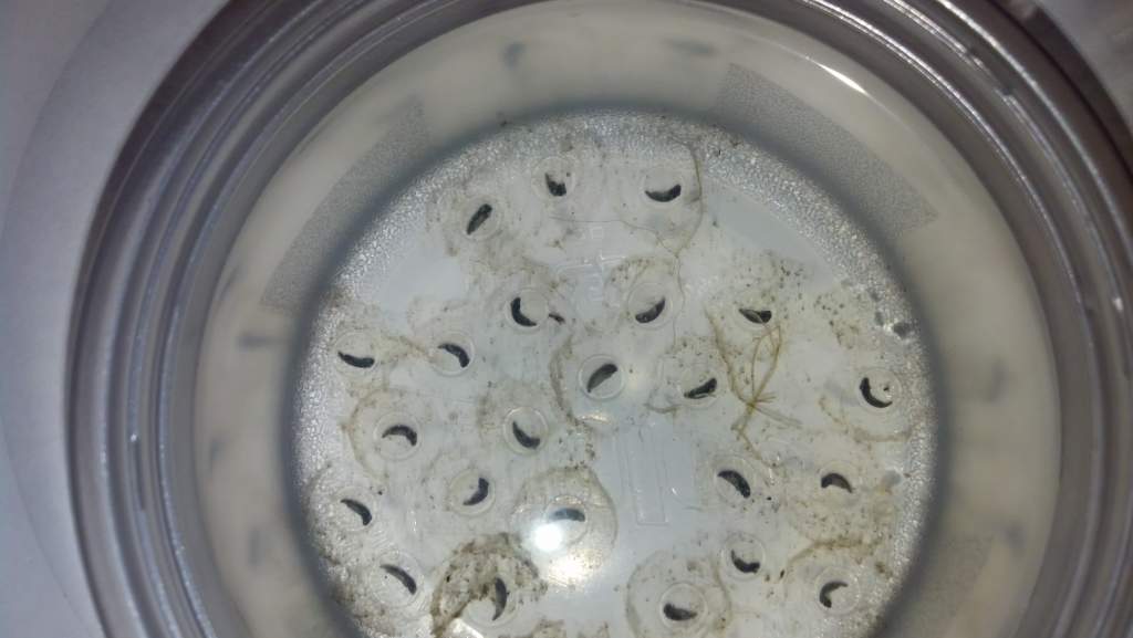 everyone is growing so fast!!