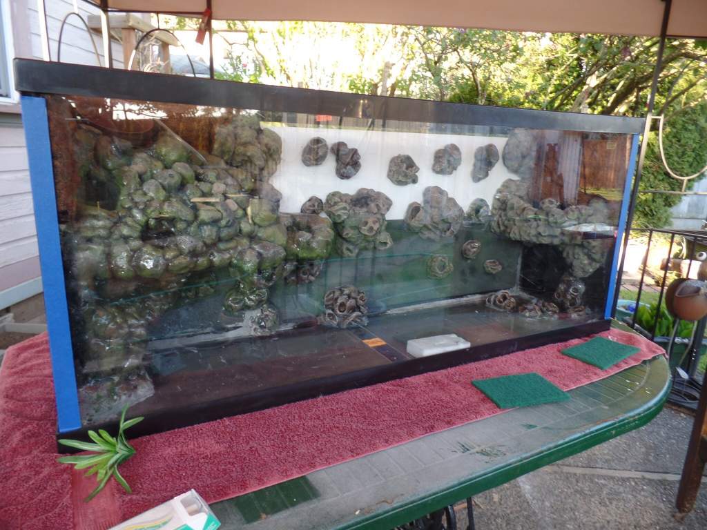 Everything is in place at this moment.  now I make the paper template for how I have to cut the green scrubby pads that I intent to use at the backgro