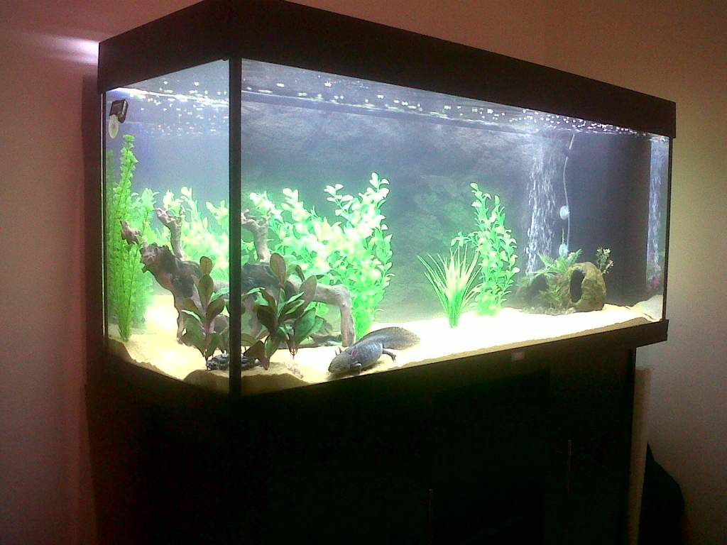 Evo's Rio 240 Tank