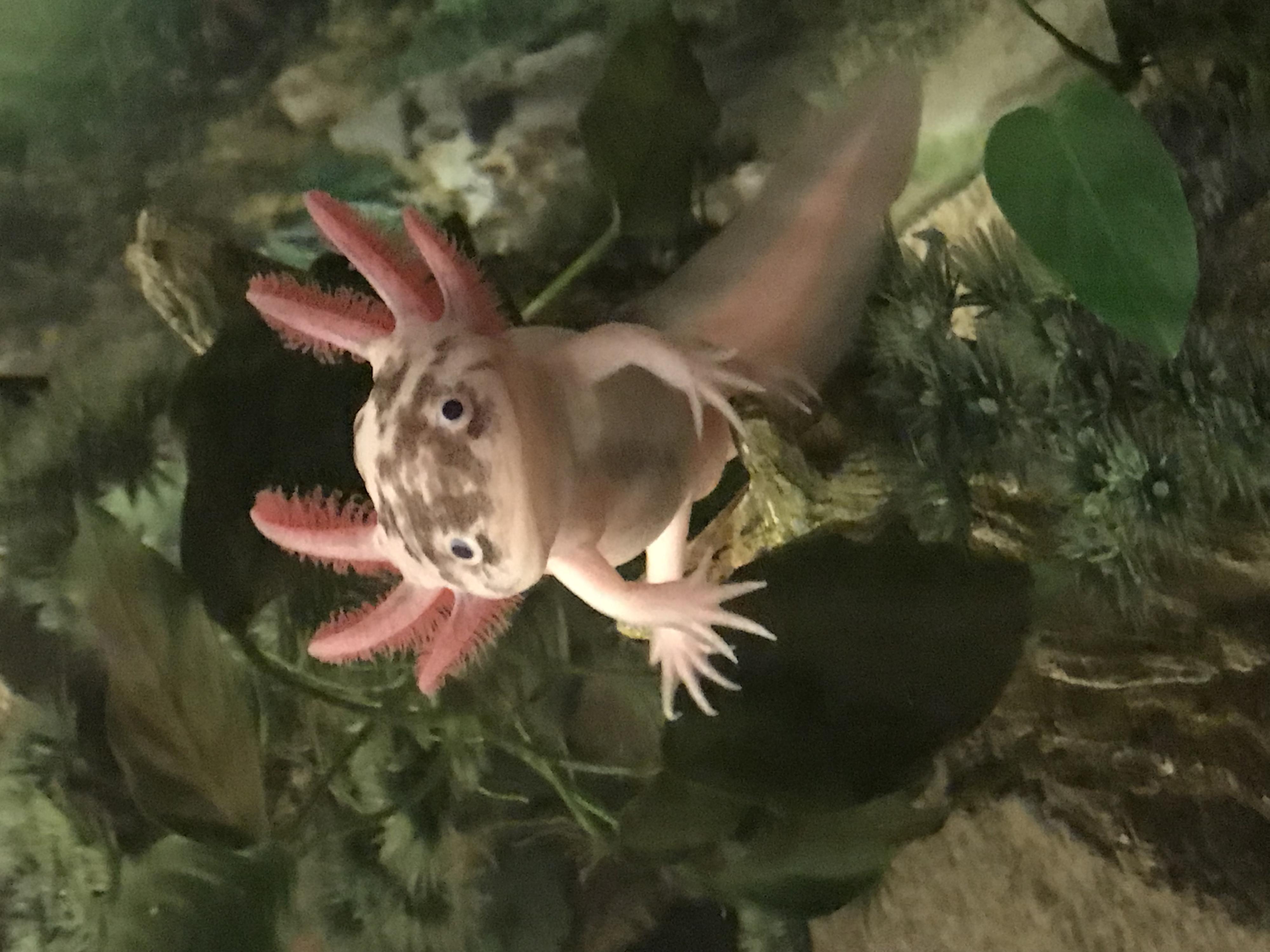 FAFDDE7C 9507 4C48 A4B5 46F8103FC1B2