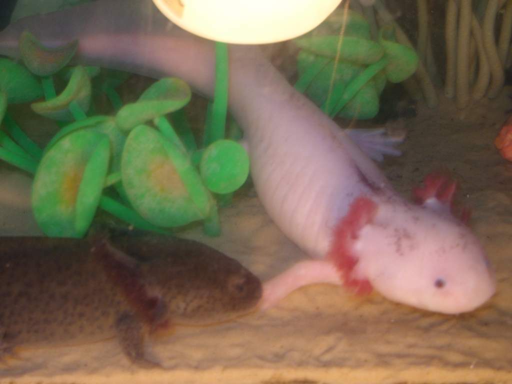 family photo's 028