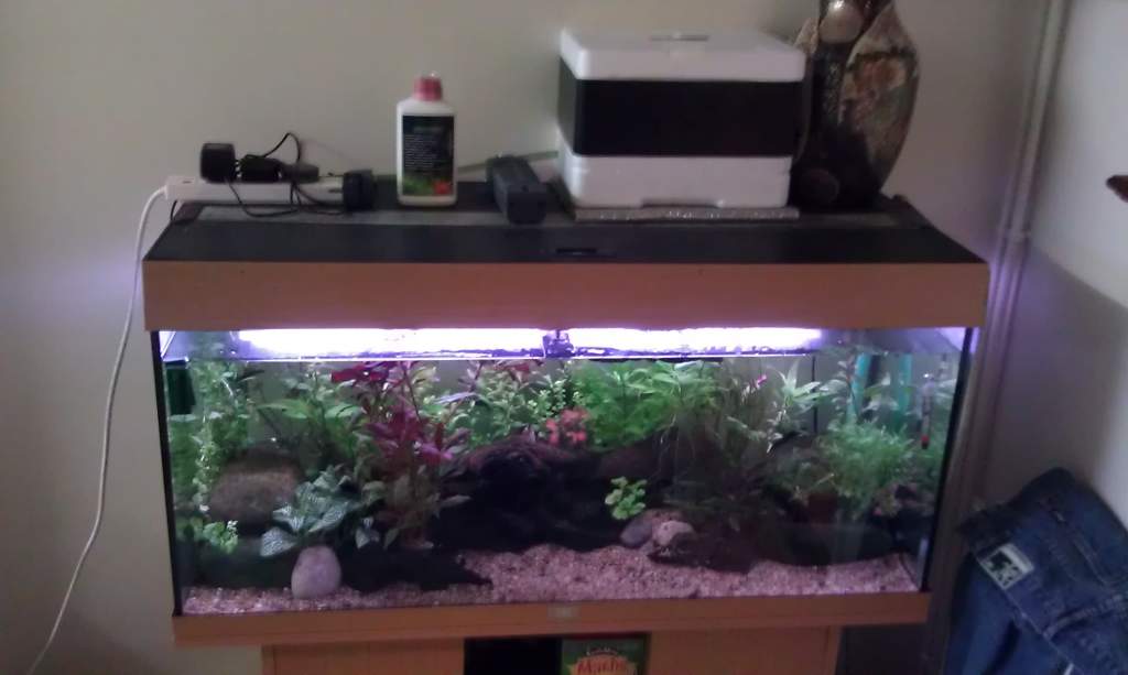 FBN Tank with cooler on top