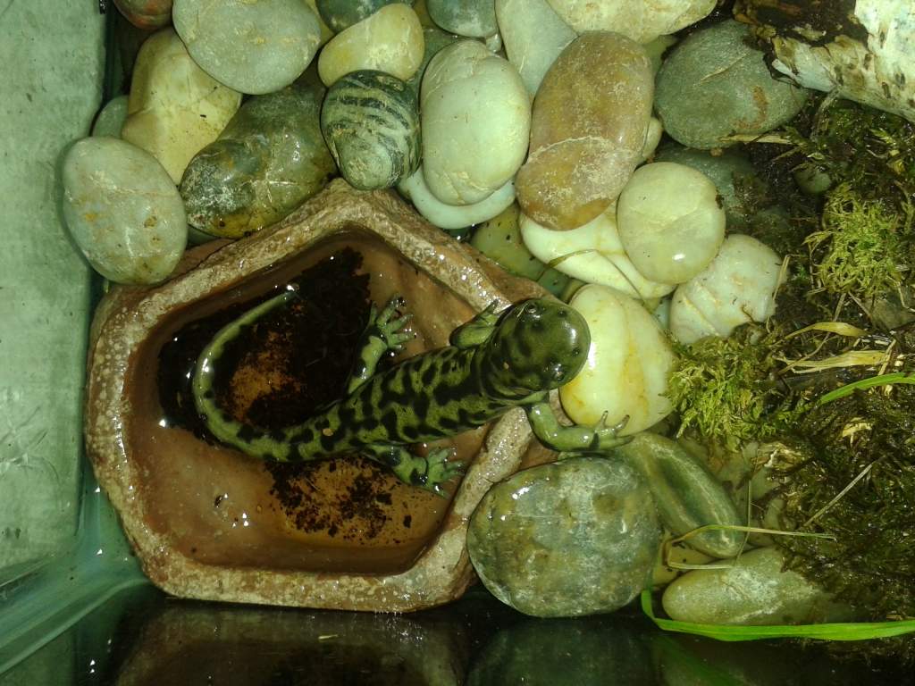 Feed me!!!