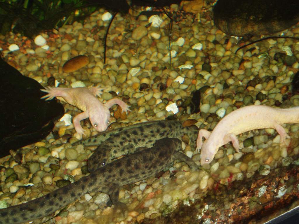 Feeding frenzy!