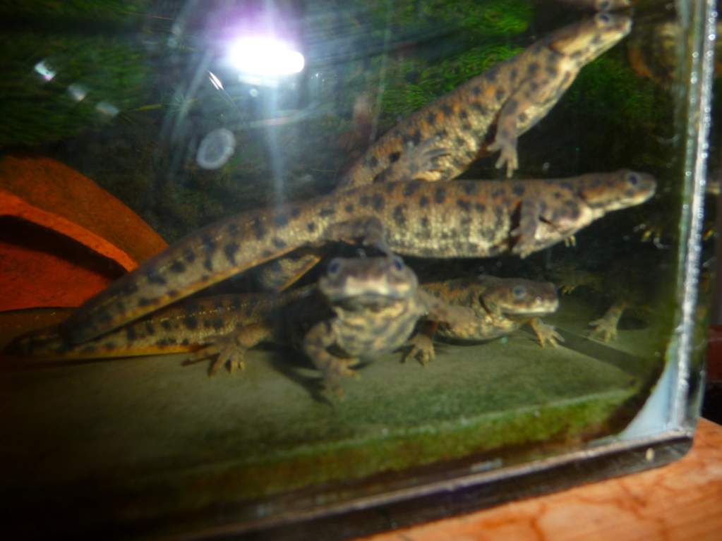 feeding time