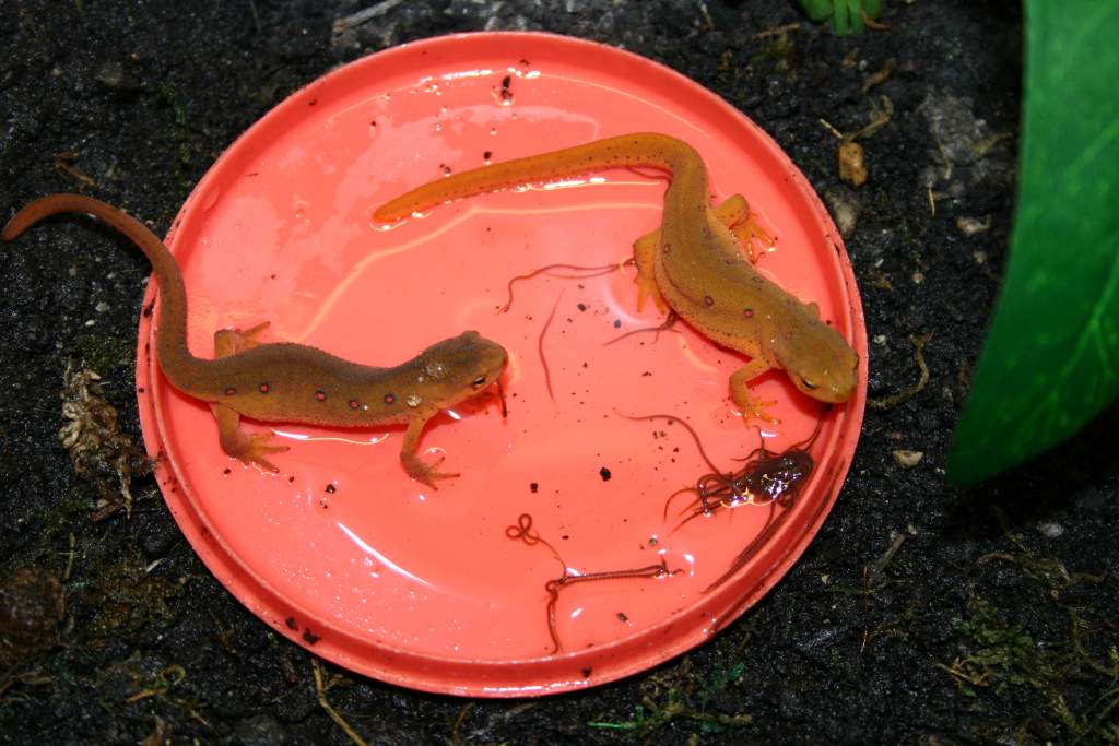 Feeding time