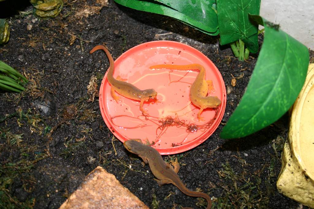 Feeding time