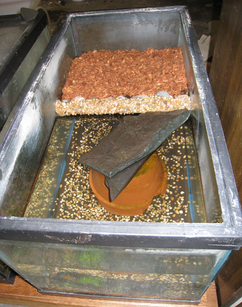 finished tank with water