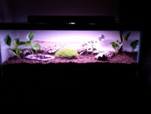 fire sal tank