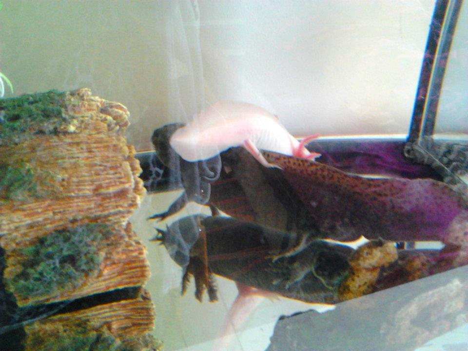 first day living together