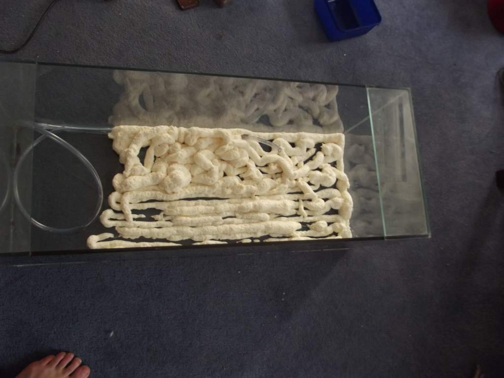 First go with expanding foam