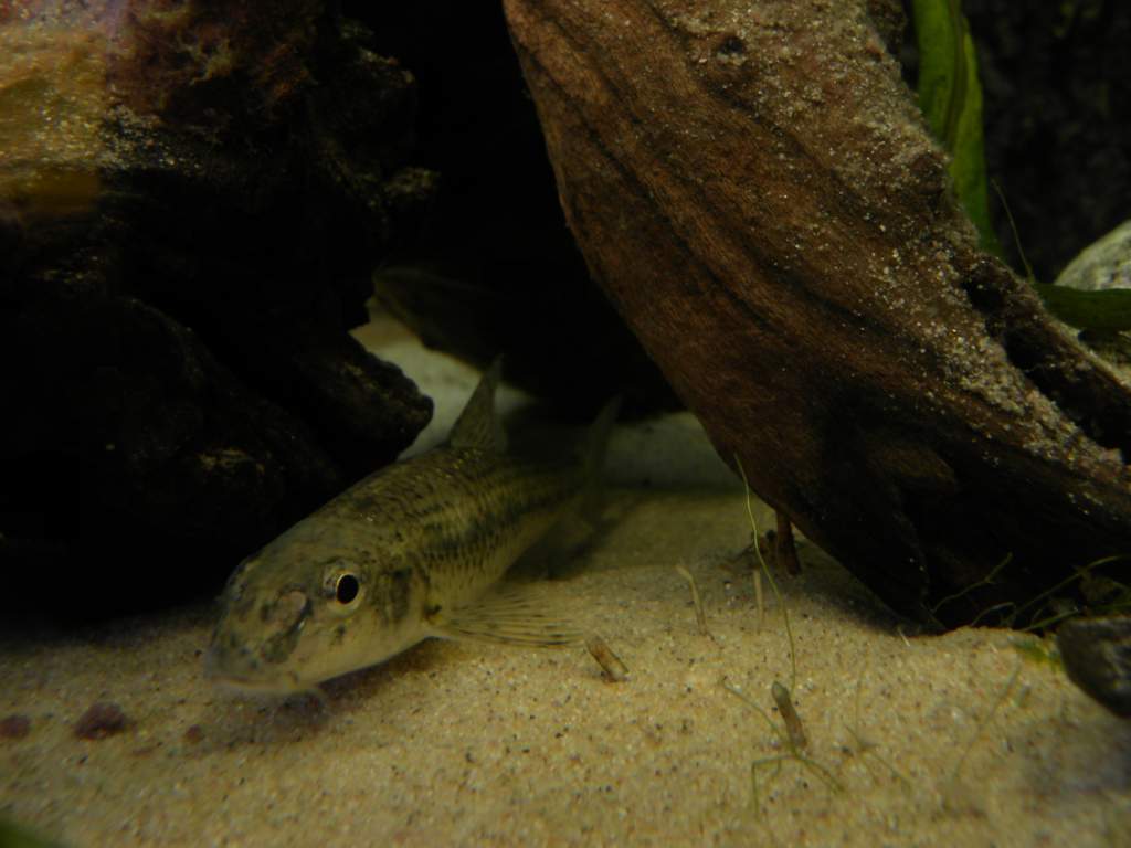 Fishy!